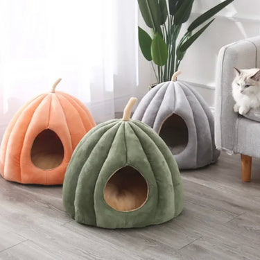 Couchage Potiron